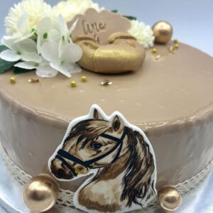 Entremet Chocolat - Noisette