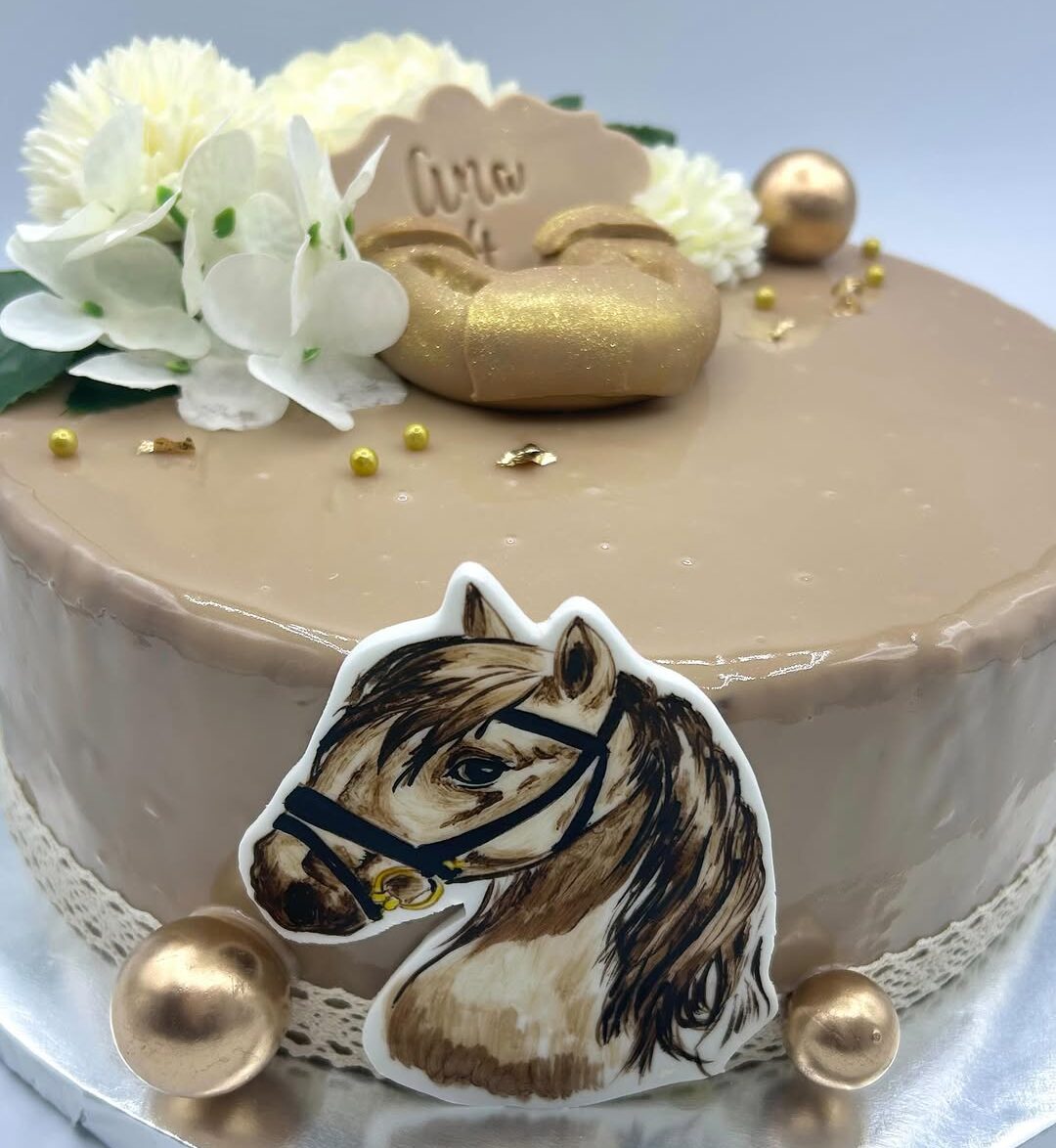 Entremet Chocolat - Noisette