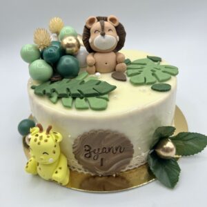 Entremet Chocolat - Pistache